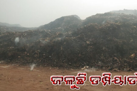 ଜଳୁଛି ଡମ୍ପିୟାର୍ଡ